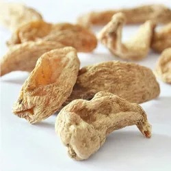 批發(fā)天麻 天麻粉 天麻個 天麻片天麻